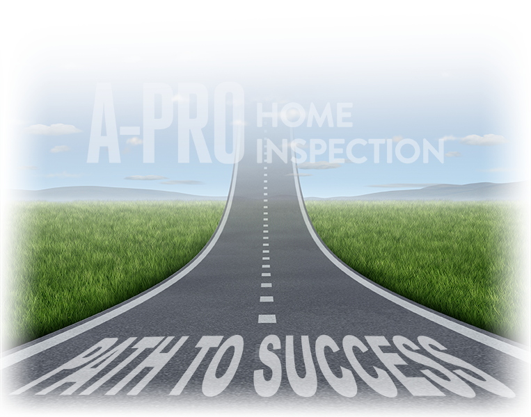 A-PRO-ROAD24_FADE4